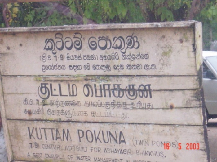 Anuratabura025.JPG