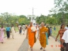 Anuratabura132.JPG
